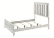 Crown Mark Furniture Cressida Queen Upholstered Panel Bed in White B7300-Q - Vida Furniture (Laredo,TX)
