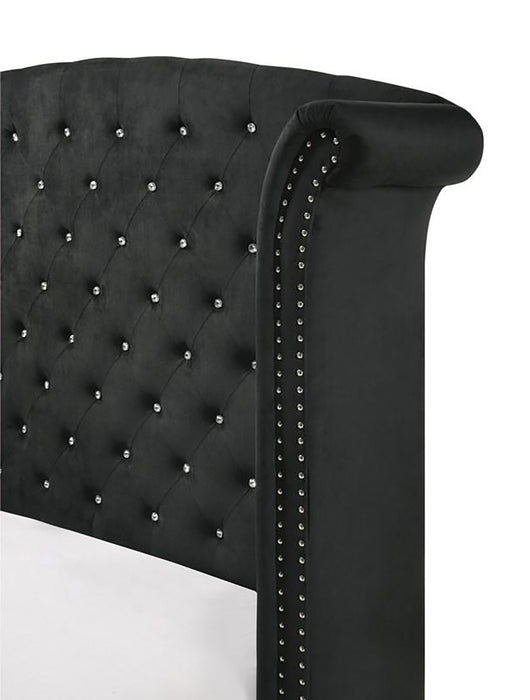Crown Mark Furniture Lucinda King Upholstered Panel Bed in Black B9265-K - Vida Furniture (Laredo,TX)
