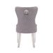 Galaxy Home Simba Stainless Steel Legs Dining Chair (Set of 2) in Grey - Vida Furniture (Laredo,TX)