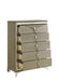 Galaxy Home Samantha Chest in Silver - Vida Furniture (Laredo,TX)
