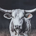 Harlandale Wall Art - Vida Furniture (Laredo,TX)