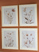 Chettings Wall Art (Set of 4) - Vida Furniture (Laredo,TX)
