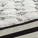Socalle Bed and Mattress Set - Vida Furniture (Laredo,TX)
