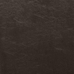 Kimonte Dining Chair Set - Vida Furniture (Laredo,TX)