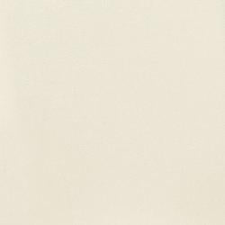 Kimonte Dining Chair Set - Vida Furniture (Laredo,TX)