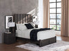 Fraluna Bed - Vida Furniture (Laredo,TX)