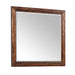 Dawson Creek Dresser & Mirror Set - Vida Furniture (Laredo,TX)