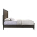 Harlington Queen Panel Bed - Vida Furniture (Laredo,TX)