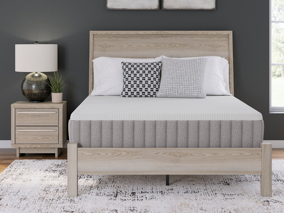 Terra Sleep Medium Mattress - Vida Furniture (Laredo,TX)
