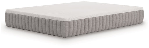 Terra Sleep Medium Mattress - Vida Furniture (Laredo,TX)