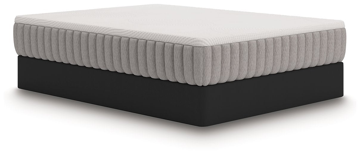 Terra Sleep Medium Mattress - Vida Furniture (Laredo,TX)