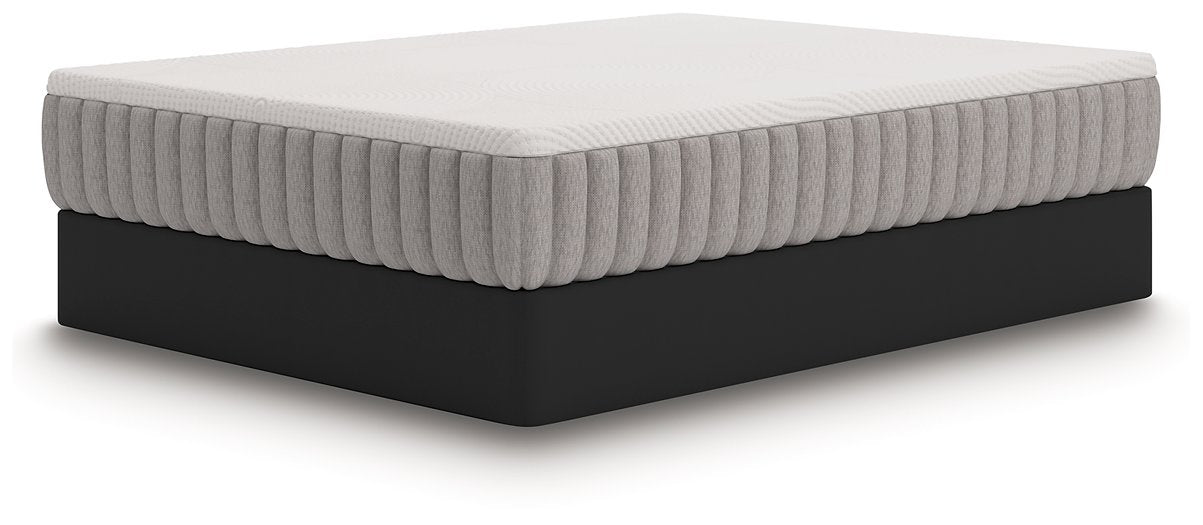 Terra Sleep Medium Mattress - Vida Furniture (Laredo,TX)