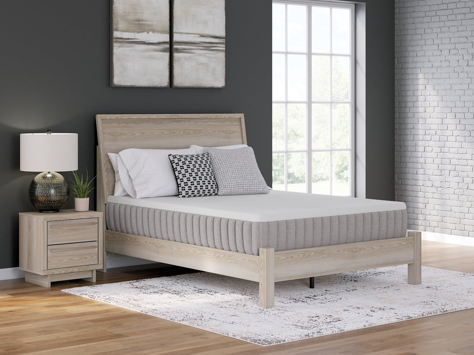 Terra Sleep Medium Mattress - Vida Furniture (Laredo,TX)