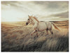 Errolville Wall Art - Vida Furniture (Laredo,TX)