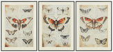 Jossletts Wall Art (Set of 3) - Vida Furniture (Laredo,TX)