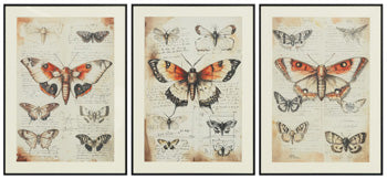Jossletts Wall Art (Set of 3) - Vida Furniture (Laredo,TX)