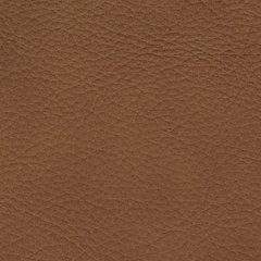 Magic Man 5-Piece Power Reclining Sectional - Vida Furniture (Laredo,TX)