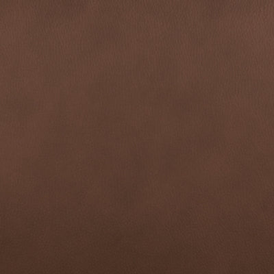 Pincara Power AutoGlide Recliner - Vida Furniture (Laredo,TX)
