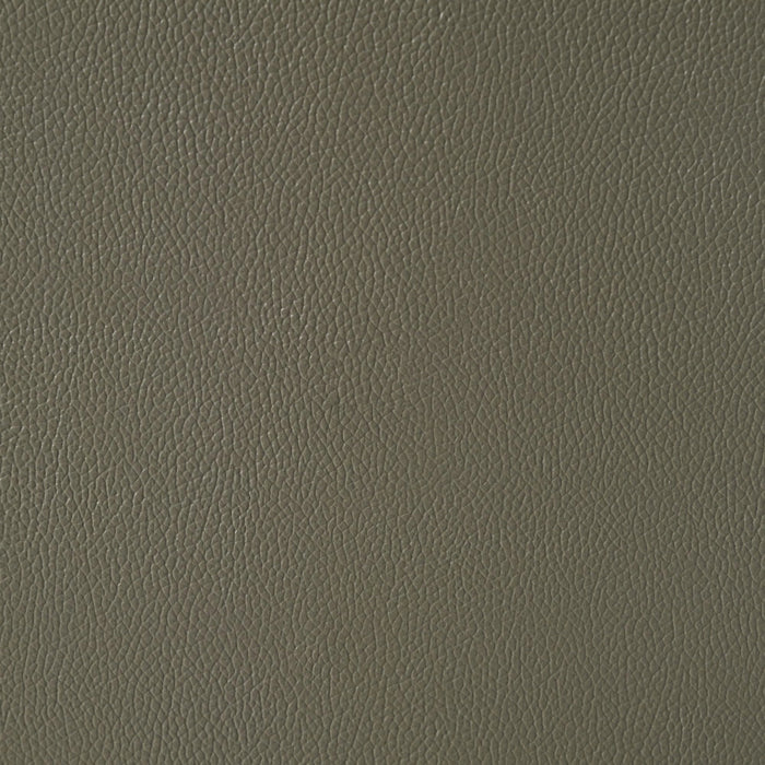 Wildcat Motion Sofa in Aviarah Grey