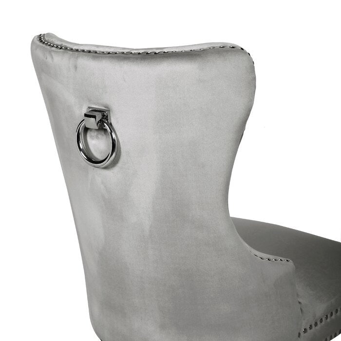 Galaxy Home Erica Stainless Steel Legs Dining Chair (Set of 2) in Light Grey - Vida Furniture (Laredo,TX)