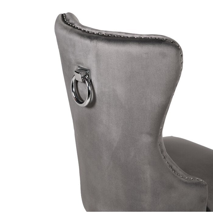 Galaxy Home Erica Stainless Steel Legs Dining Chair (Set of 2) in Dark Gray - Vida Furniture (Laredo,TX)