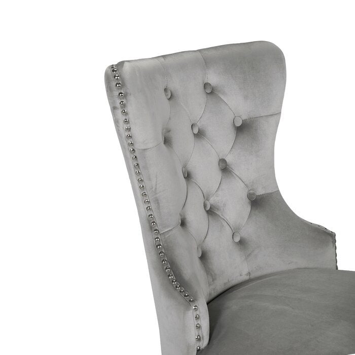 Galaxy Home Erica Stainless Steel Legs Dining Chair (Set of 2) in Light Grey - Vida Furniture (Laredo,TX)