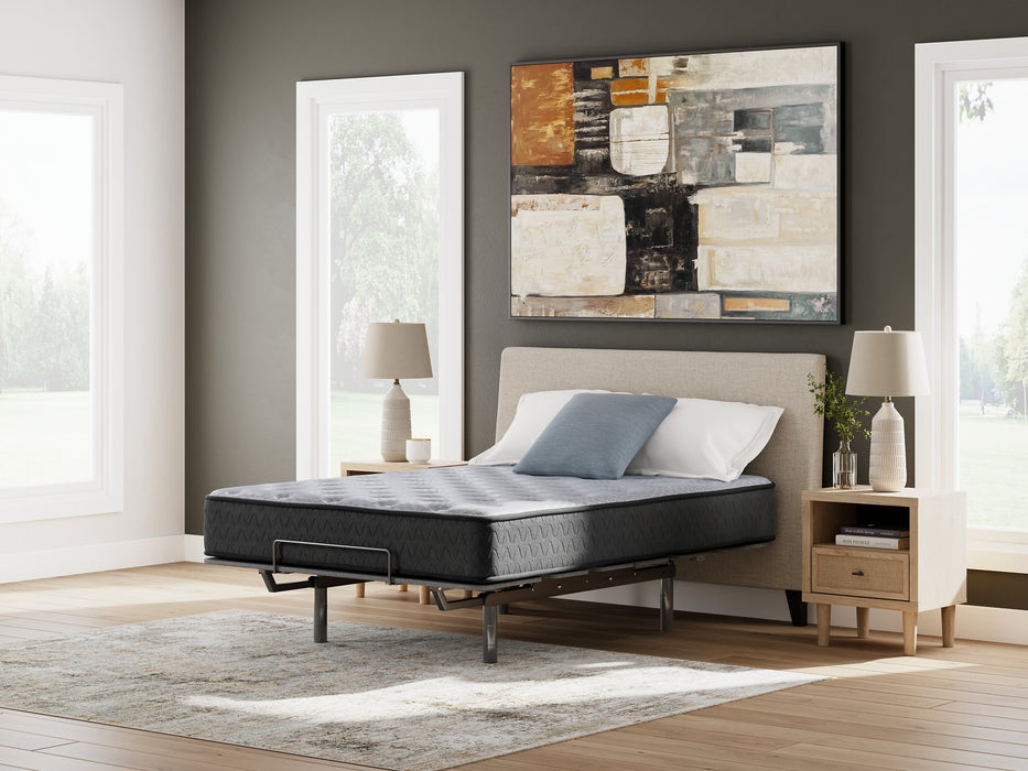 Comfort Plus Mattress - Vida Furniture (Laredo,TX)