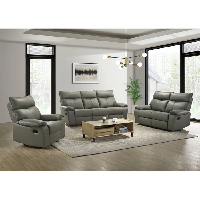 Wildcat Motion Recliner in Aviarah Grey