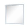 Elements International Catalina Youth Mirror in White - Vida Furniture (Laredo,TX)