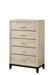 AKERSON CHEST DRIFT WOOD - Vida Furniture (Laredo,TX)