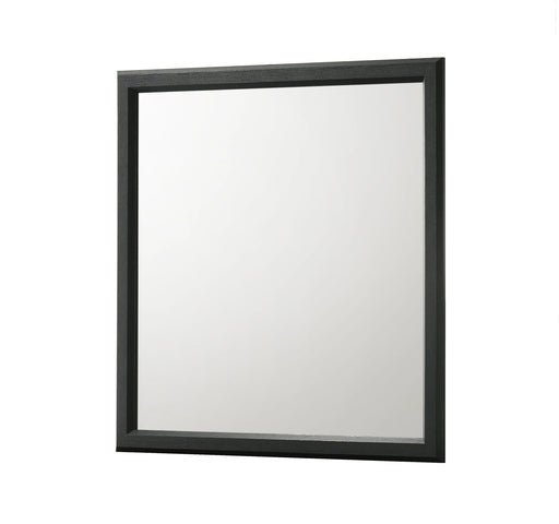 Charlie Dresser Mirror - Vida Furniture (Laredo,TX)