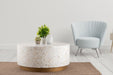 Galaxy Home Modern Luxe Coffee Table in Ivory - Vida Furniture (Laredo,TX)