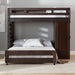 Elements International Vista Twin over Full Basic Loft Bed with Desk in Brown - Vida Furniture (Laredo,TX)
