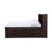 Elements International Vista Captain Bed Full Storage Bed in Brown - Vida Furniture (Laredo,TX)