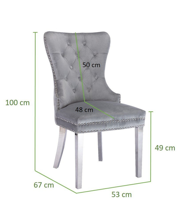 Galaxy Home Simba Stainless Steel Legs Dining Chair (Set of 2) in Silver - Vida Furniture (Laredo,TX)
