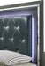 Elements International Titanium Queen Storage Bed in Gray - Vida Furniture (Laredo,TX)